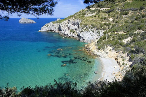 Lotto di terreno con progetto approvato per la realizzazione di un parcheggio per 85 posti auto in vendita a Monte Argentario