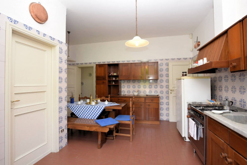 Villa in collina con parco in vendita a Camaiore