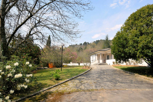 Villa in collina con parco in vendita a Camaiore