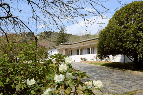 Villa in collina con parco in vendita a Camaiore