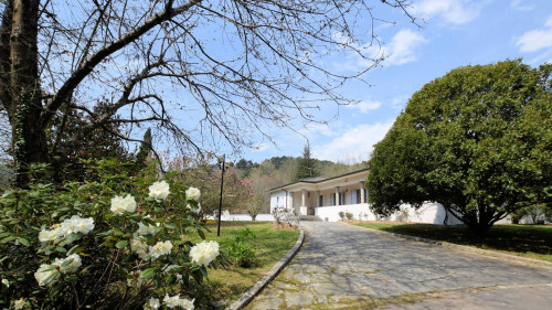 Villa in collina con parco in vendita a Camaiore