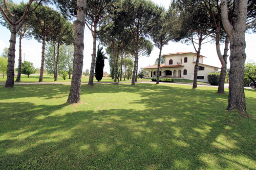 Villa prestigiosa con parco e piscina in vendita a Pietrasanta