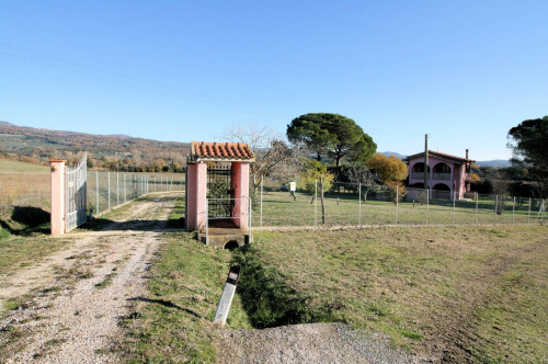Podere ex Ente Maremma ristrutturato con ampio terreno in vendita a Roccastrada
