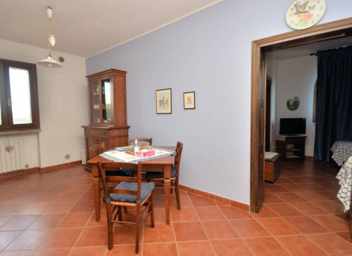 Azienda agricola con agriturismo in vendita a Civitella Paganico