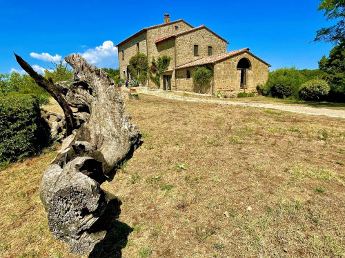 Casale in stile Toscano con terreno e vista panoramica in vendita a Pitigliano