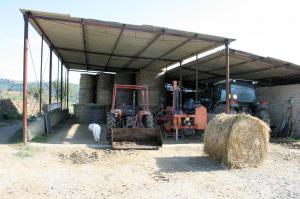 Azienda agricola in posizione collinare e panoramica in vendita a Magliano in Toscana