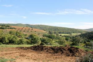 Azienda agricola in posizione collinare e panoramica in vendita a Magliano in Toscana
