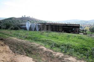 Azienda agricola in posizione collinare e panoramica in vendita a Magliano in Toscana