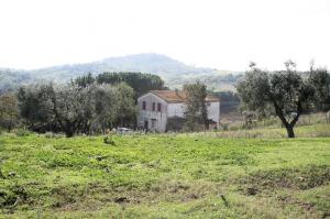Azienda agricola in posizione collinare e panoramica in vendita a Magliano in Toscana