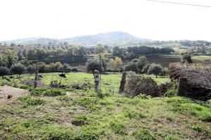 Azienda agricola in posizione collinare e panoramica in vendita a Magliano in Toscana