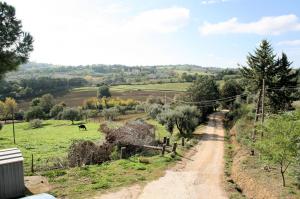 Azienda agricola in posizione collinare e panoramica in vendita a Magliano in Toscana