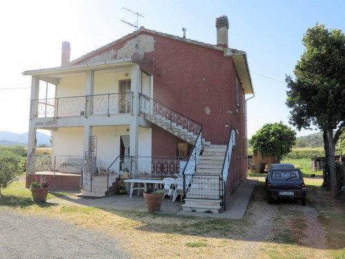 Piccola azienda agricola in vendita a Gavorrano