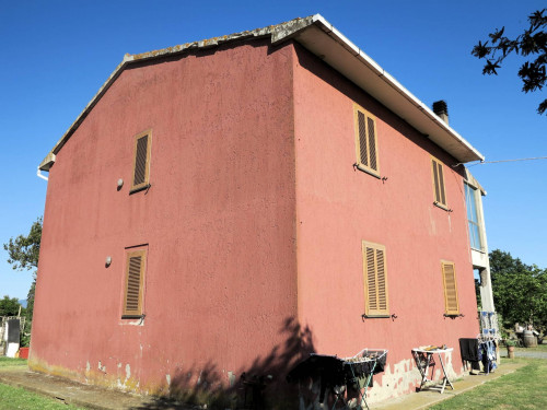Piccola azienda agricola in vendita a Gavorrano