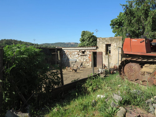 Piccola azienda agricola in vendita a Gavorrano