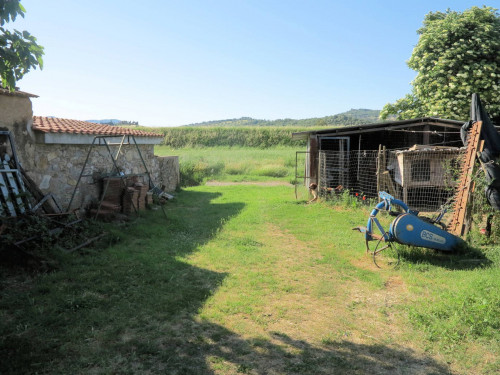 Piccola azienda agricola in vendita a Gavorrano