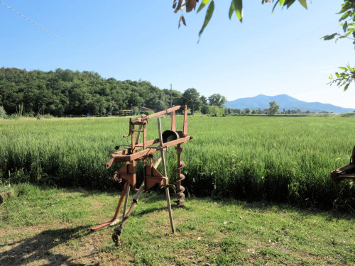 Piccola azienda agricola in vendita a Gavorrano