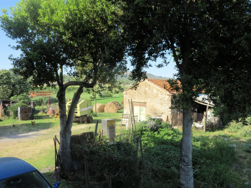 Piccola azienda agricola in vendita a Gavorrano