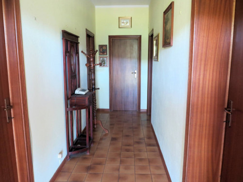 Piccola azienda agricola in vendita a Gavorrano