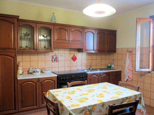 Piccola azienda agricola in vendita a Gavorrano