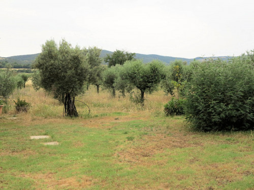 Casale di ampia superficie in posizione dominante in vendita a Massa Marittima