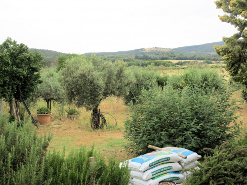 Casale di ampia superficie in posizione dominante in vendita a Massa Marittima