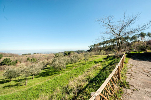 Bel casale ristrutturato in posizione panoramica con ampio terreno in vendita a Chianni