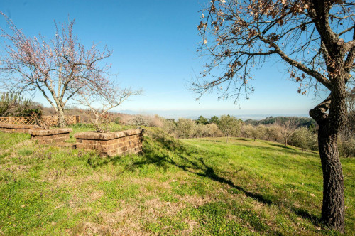 Bel casale ristrutturato in posizione panoramica con ampio terreno in vendita a Chianni