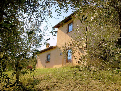 Azienda agricola in posizione panoramica in vendita a Radicondoli