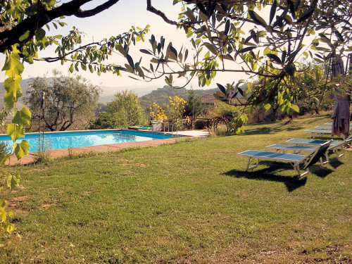 Azienda agricola in posizione panoramica in vendita a Radicondoli