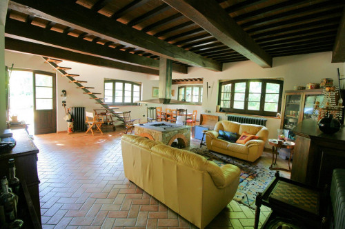 Rustico in stile Toscano con dependances  immerso nel bosco in vendita a Montieri