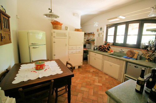 Rustico in stile Toscano con dependances  immerso nel bosco in vendita a Montieri