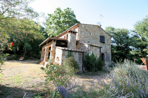 Rustico in stile Toscano con dependances  immerso nel bosco in vendita a Montieri