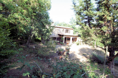 Rustico in stile Toscano con dependances  immerso nel bosco in vendita a Montieri