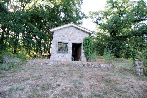 Rustico in stile Toscano con dependances  immerso nel bosco in vendita a Montieri