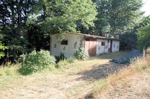 Rustico in stile Toscano con dependances  immerso nel bosco in vendita a Montieri