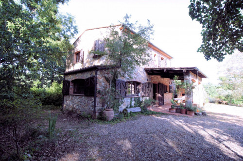 Rustico in stile Toscano con dependances  immerso nel bosco in vendita a Montieri