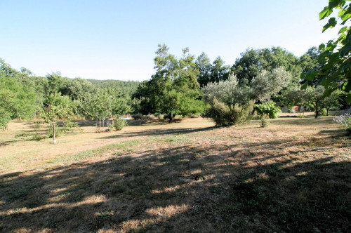 Rustico in stile Toscano con dependances  immerso nel bosco in vendita a Montieri
