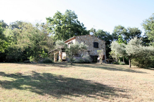 Rustico in stile Toscano con dependances  immerso nel bosco in vendita a Montieri