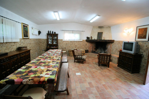 Rustico in stile Toscano con dependances  immerso nel bosco in vendita a Montieri