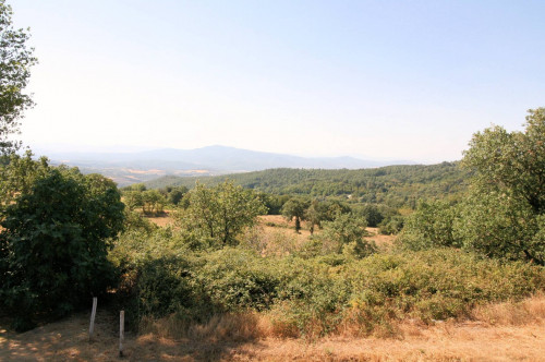 Rustico in stile Toscano con giardino e vista panoramica in vendita a Roccastrada