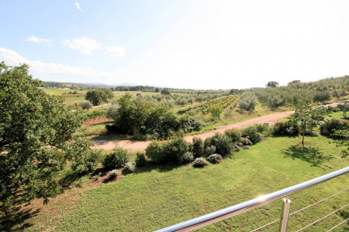 Podere con ampio terreno e piscina in vendita a Massa Marittima