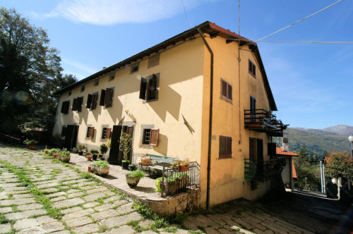Bel terratetto ex turistico ricettivo con ampio giardino in vendita a Abetone Cutigliano