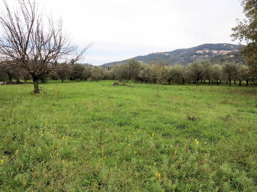 Annesso agricolo da ristrutturare in splendida posizione in vendita a Gavorrano