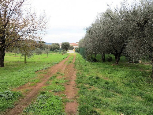 Annesso agricolo da ristrutturare in splendida posizione in vendita a Gavorrano