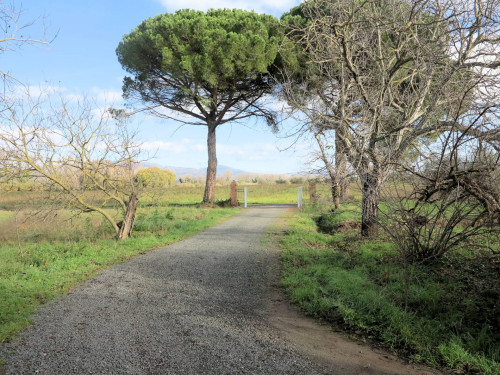 Podere ex Ente Maremma di ampia superficie in vendita a Roccastrada