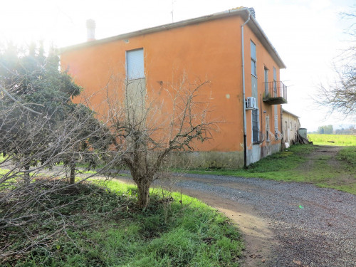 Podere ex Ente Maremma di ampia superficie in vendita a Roccastrada
