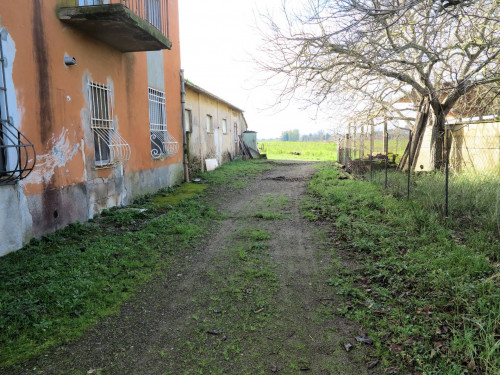 Podere ex Ente Maremma di ampia superficie in vendita a Roccastrada