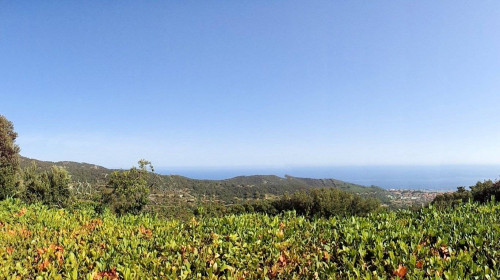 Porzione terratetto libero su tre lati con giardino e vista mare in vendita a Marciana