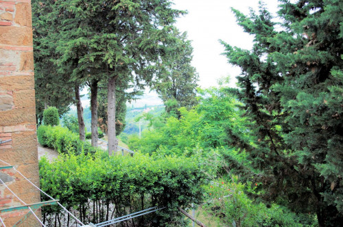 Rustico di ampia superficie con terreno e annessi per tenere i cavalli in vendita a Montaione