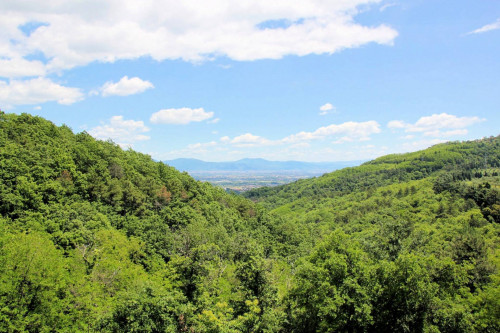 Agriturismo in antico podere in stile Toscano con vista panoramica mozzafiato in vendita a Monsummano Terme